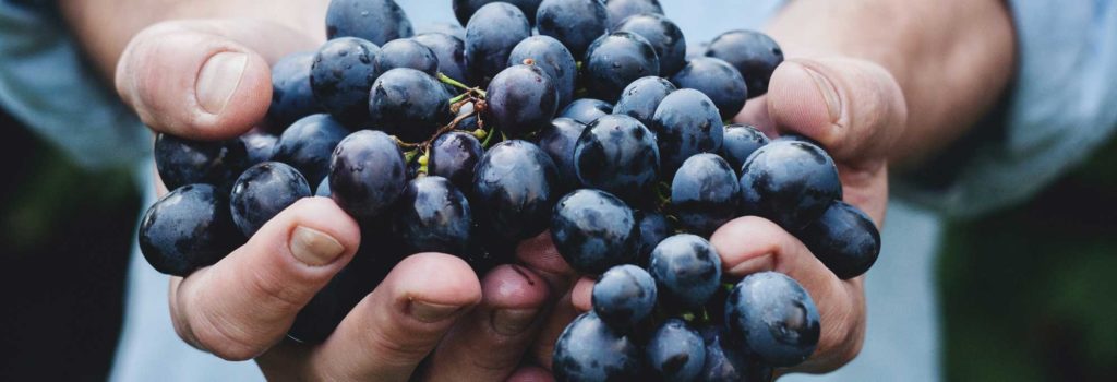 Le Vin de Demain le Classement