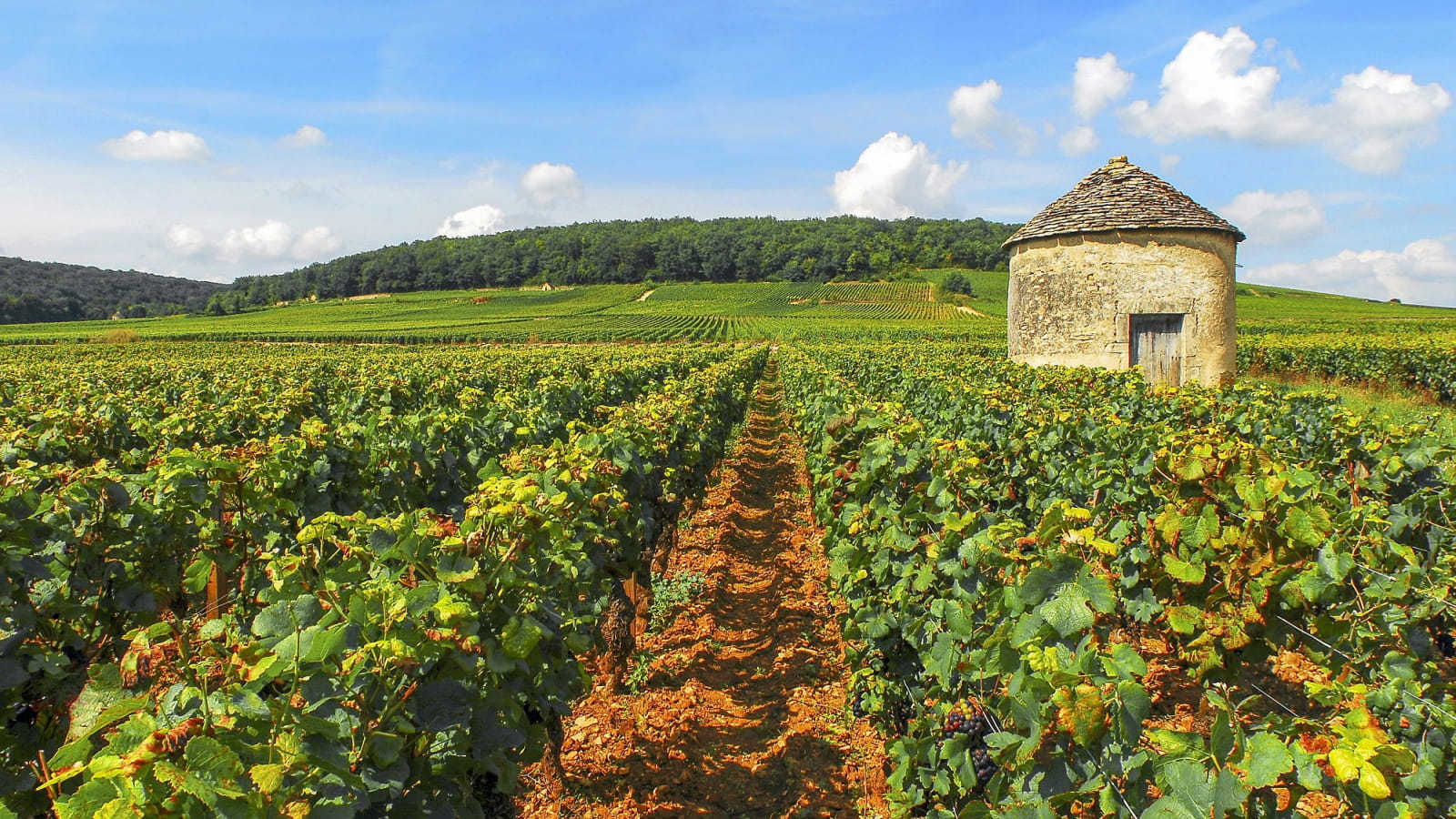 alain_doire__bourgogne-franche-comte_tourisme-cabotte-1600x900