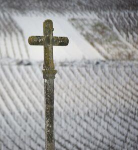 Romanée Conti Grand Cru de Bourgogne